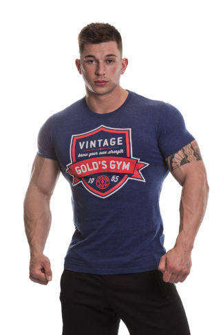 Gold's Gym T-Shirt Muscle Joe Charcoal Marl